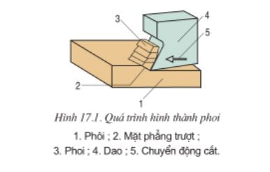 Quá trình hinh thành phôi
