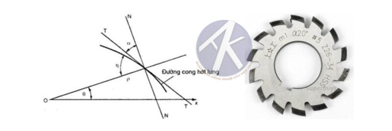 Mô-phỏng-đường-cong-hớt-lưng--và-dao-phay-modul-(Phải)