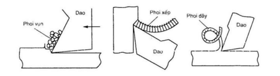 Các Dạng Phoi Phổ Biến